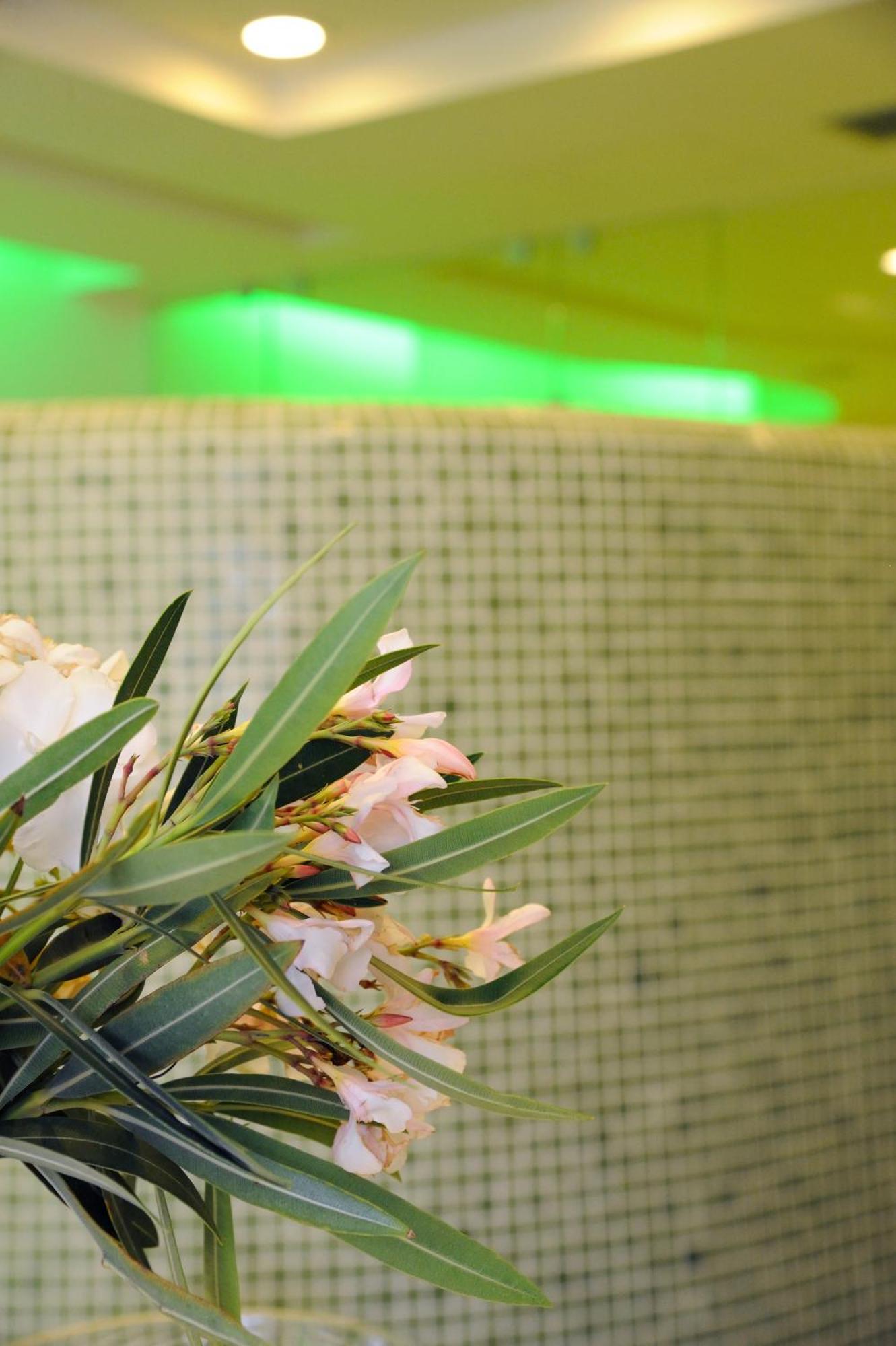 Hotel Anthea 3*
